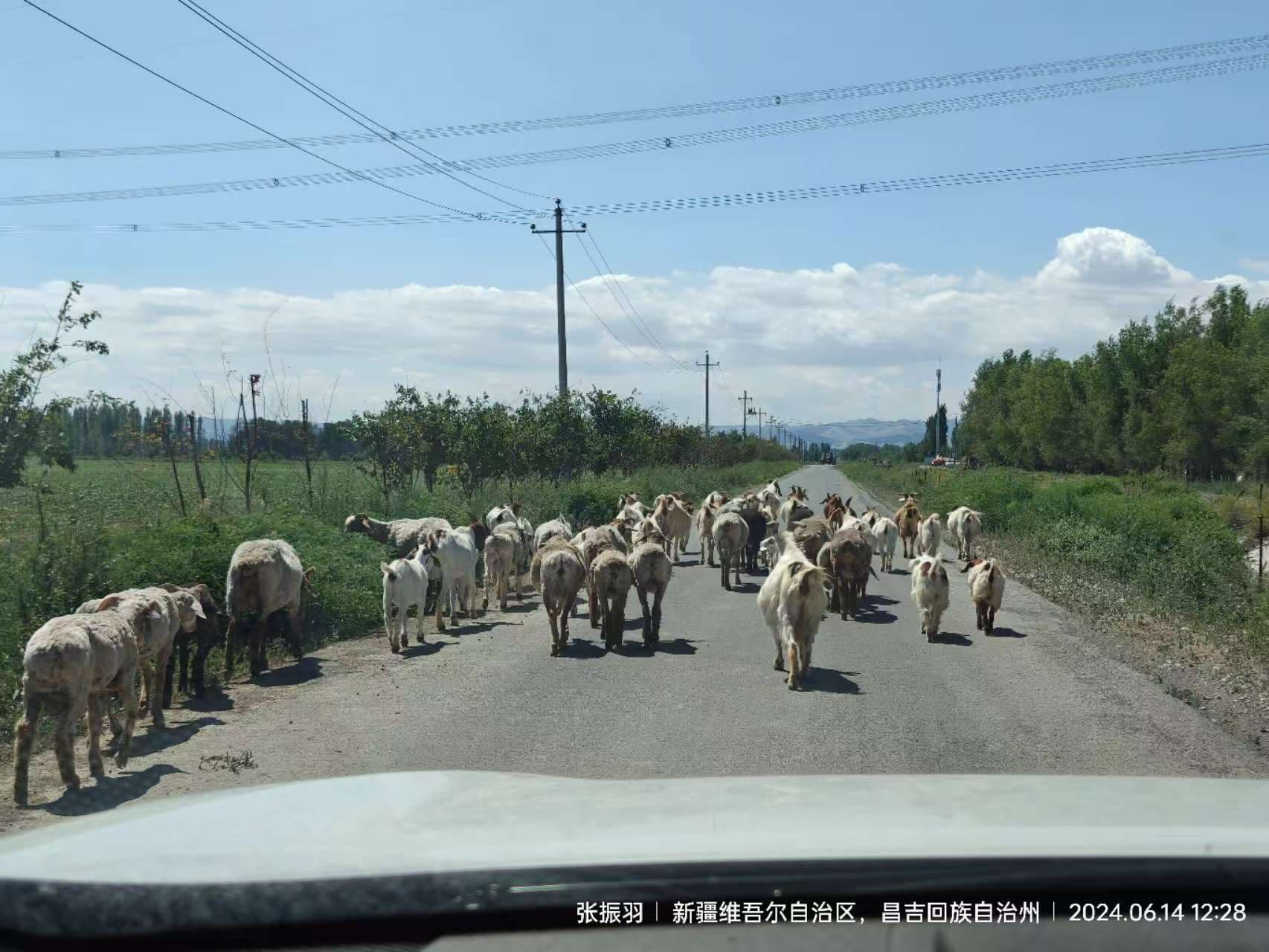 日常 - 展示图 5